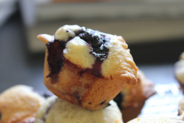 Blueberry Muffins