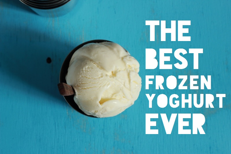 Best Frozen Yoghurt Ever // TheSugarHit.com