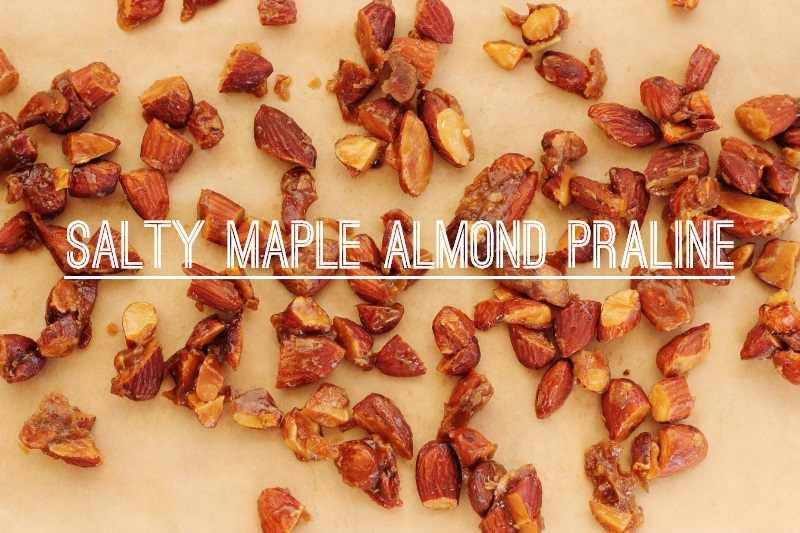 Salty Maple Almond Pralines | TheSugarHit.com