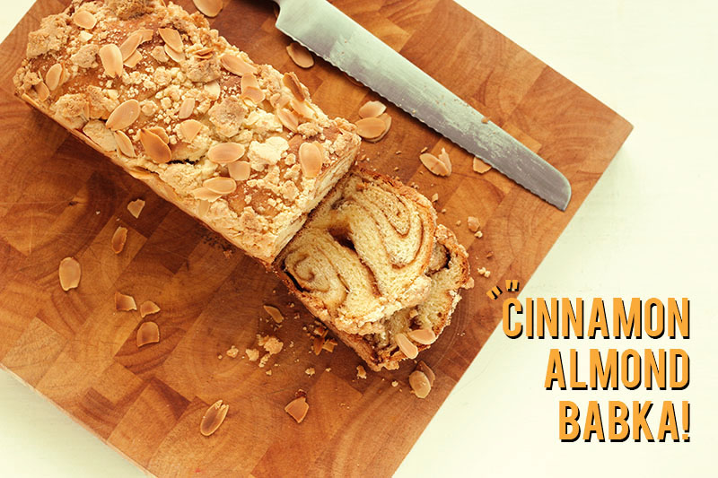 Cinnamon Almond Babka | The Sugar Hit