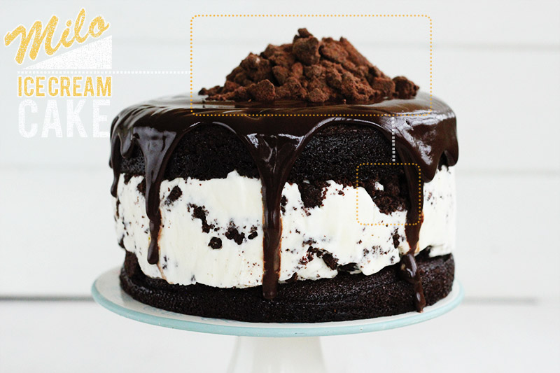 Milo Ice Cream Cake | The Sugar Hit