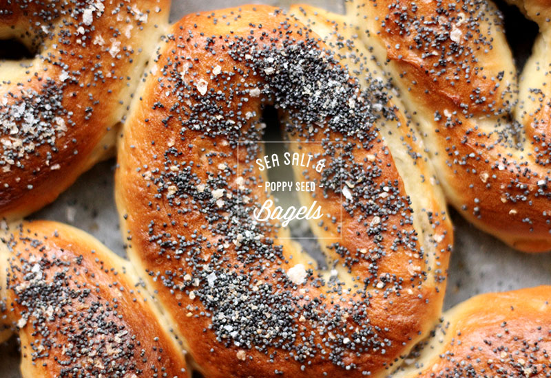 Sea Salt and Poppy Seed Bagels | The Sugar Hit