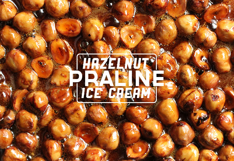 Hazelnut Praline Ice Cream | The Sugar Hit!