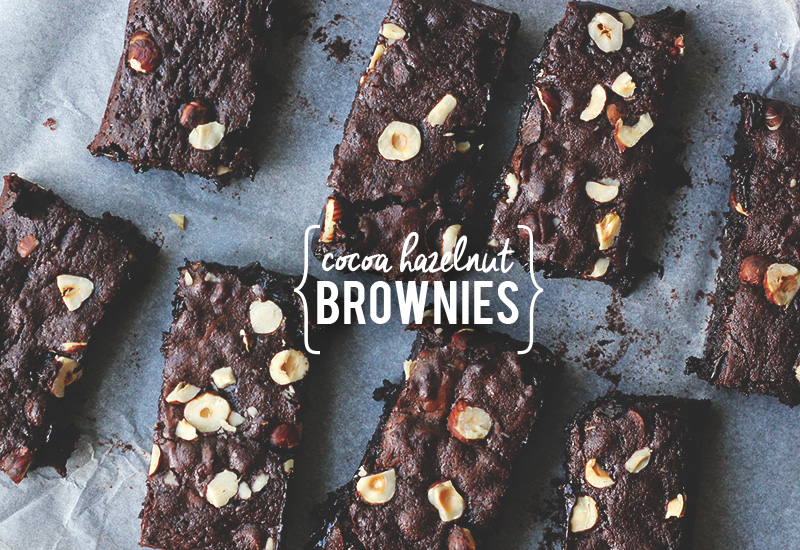 Cocoa Hazelnut Brownies | The Sugar Hit