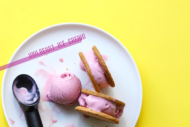 Mulberry Ice Cream // The Sugar Hit